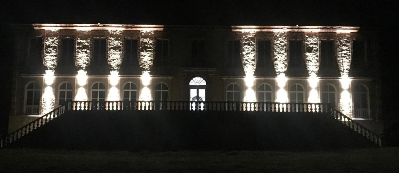 Chateau De Tauzies, The Originals Relais Gaillac Bagian luar foto