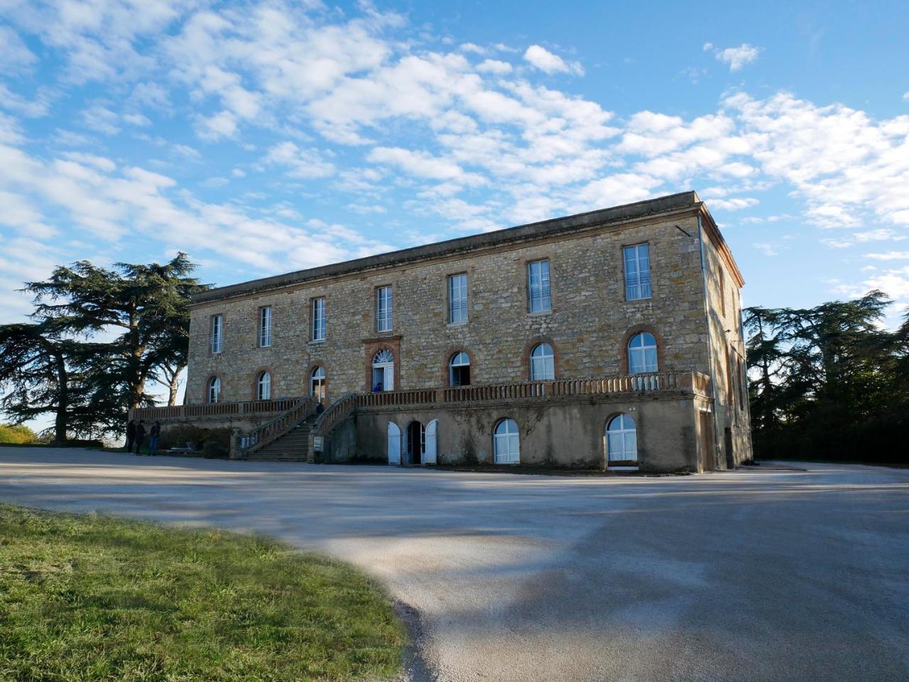Chateau De Tauzies, The Originals Relais Gaillac Bagian luar foto
