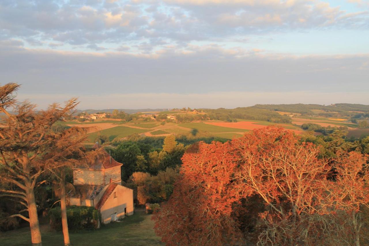 Chateau De Tauzies, The Originals Relais Gaillac Bagian luar foto