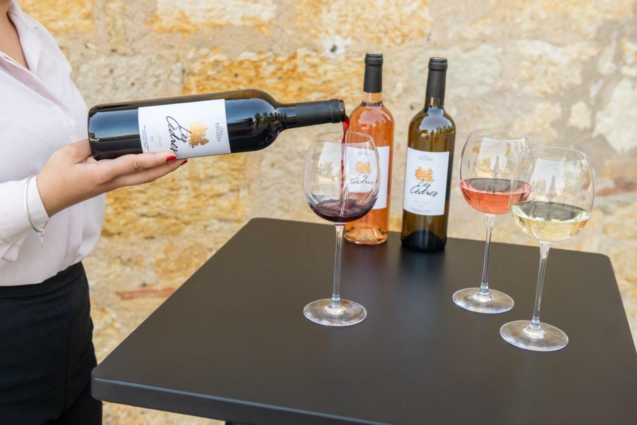 Chateau De Tauzies, The Originals Relais Gaillac Bagian luar foto